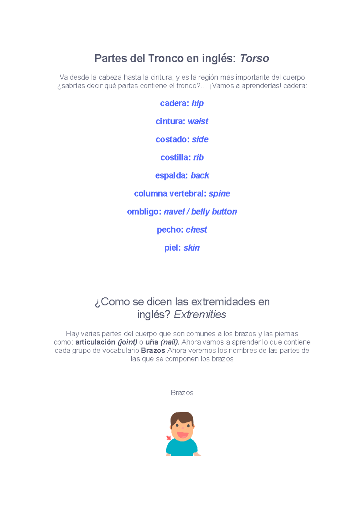 Parts body body Partes del Tronco en inglés Torso Va desde la cabeza hasta la cintura, y es