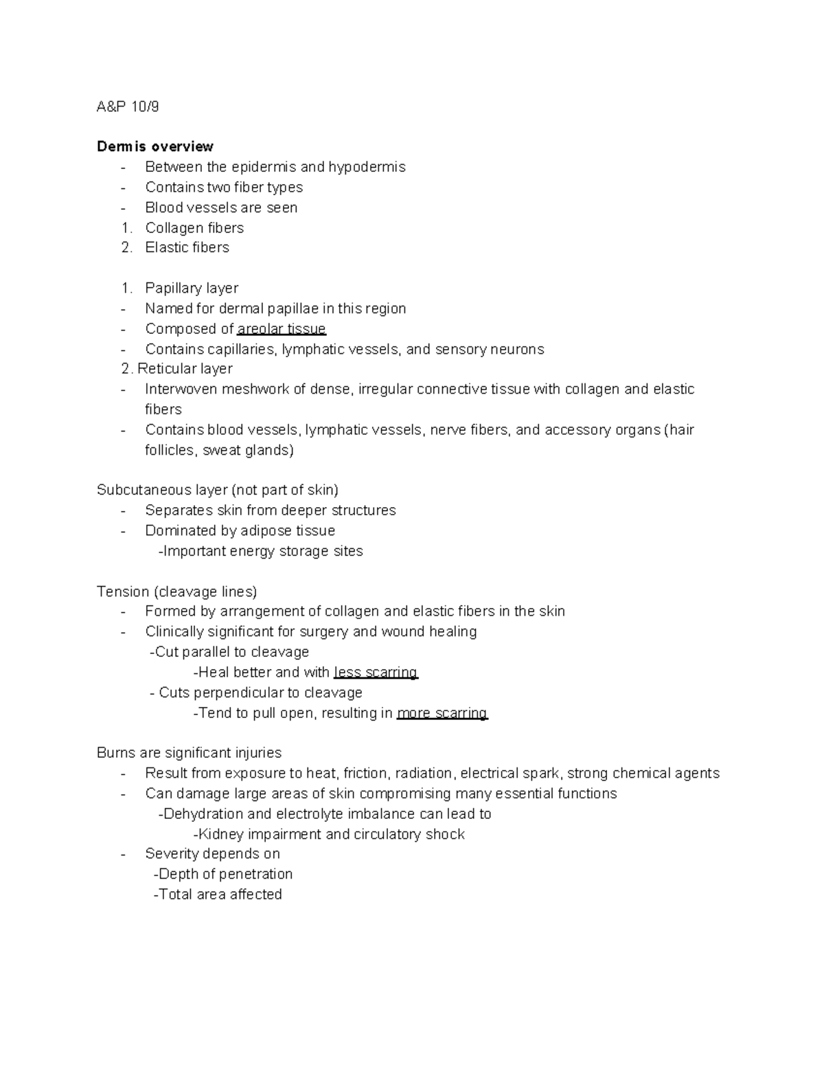 Anatomy and Physiology Dermis Layer - A&P 10/ Dermis overview - Between ...