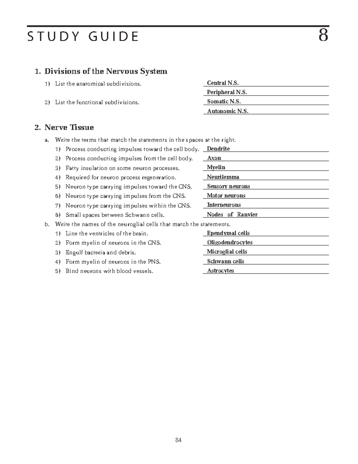 ch-8-chapter-8-test-s-t-u-d-y-g-u-i-d-e-8-1-divisions-of-the