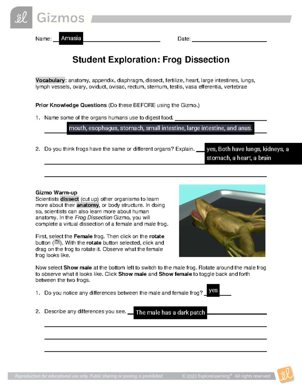 Amasia Mcdowell Frog dissection Gizmos 2021 Name Date Student