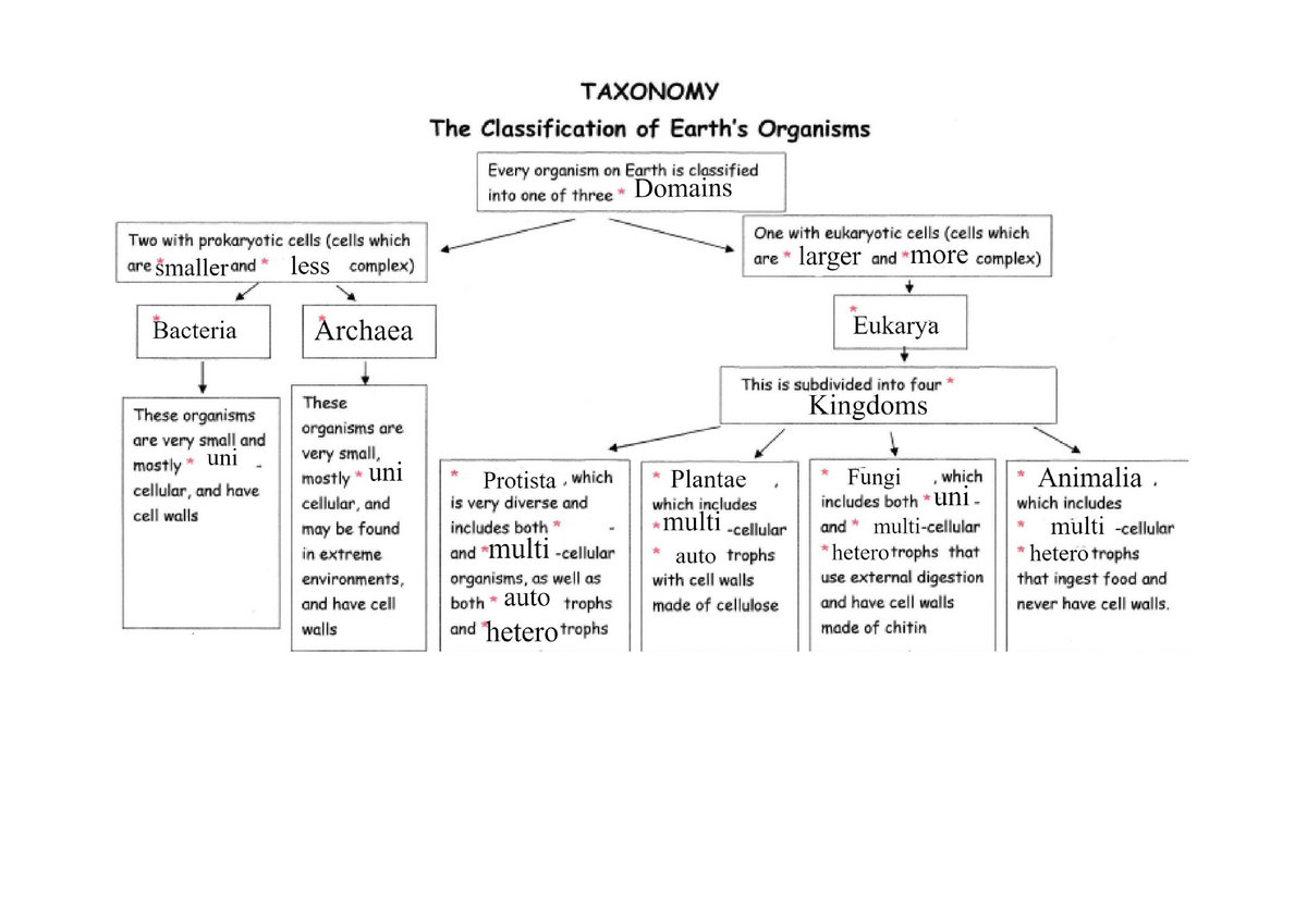 Species Concept Map