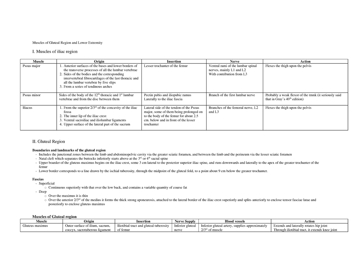 Muscles of Gluteal Region and Lower Extremity - Muscles of iliac region ...