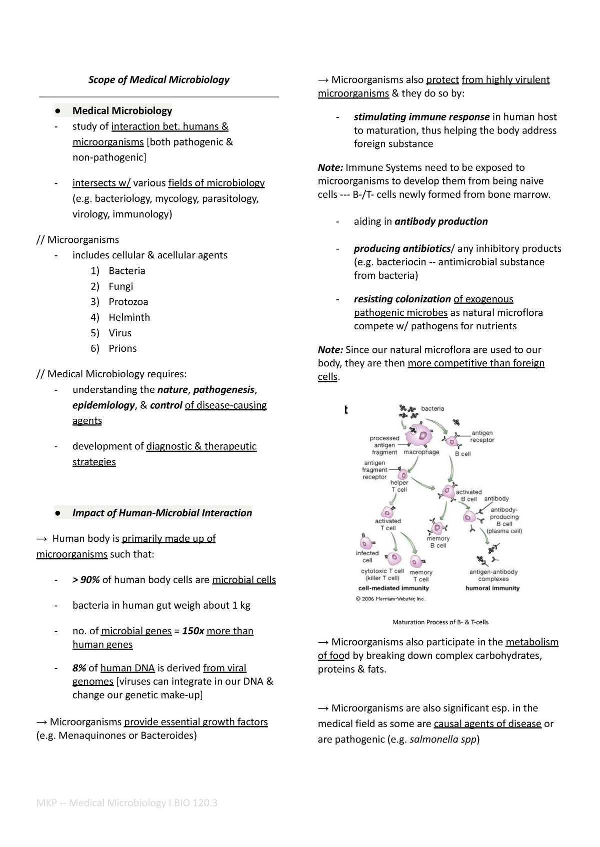 overview-of-medical-microbiology-scope-of-medical-microbiology