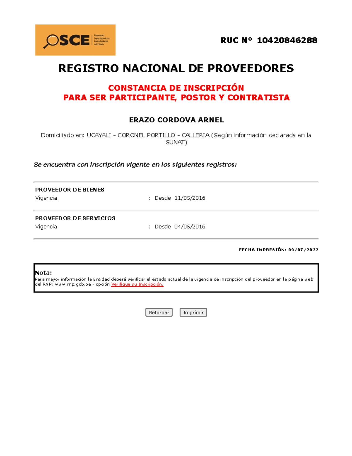 Constancia DEL RNP - RUC N° 10420846288 REGISTRO NACIONAL DE ...