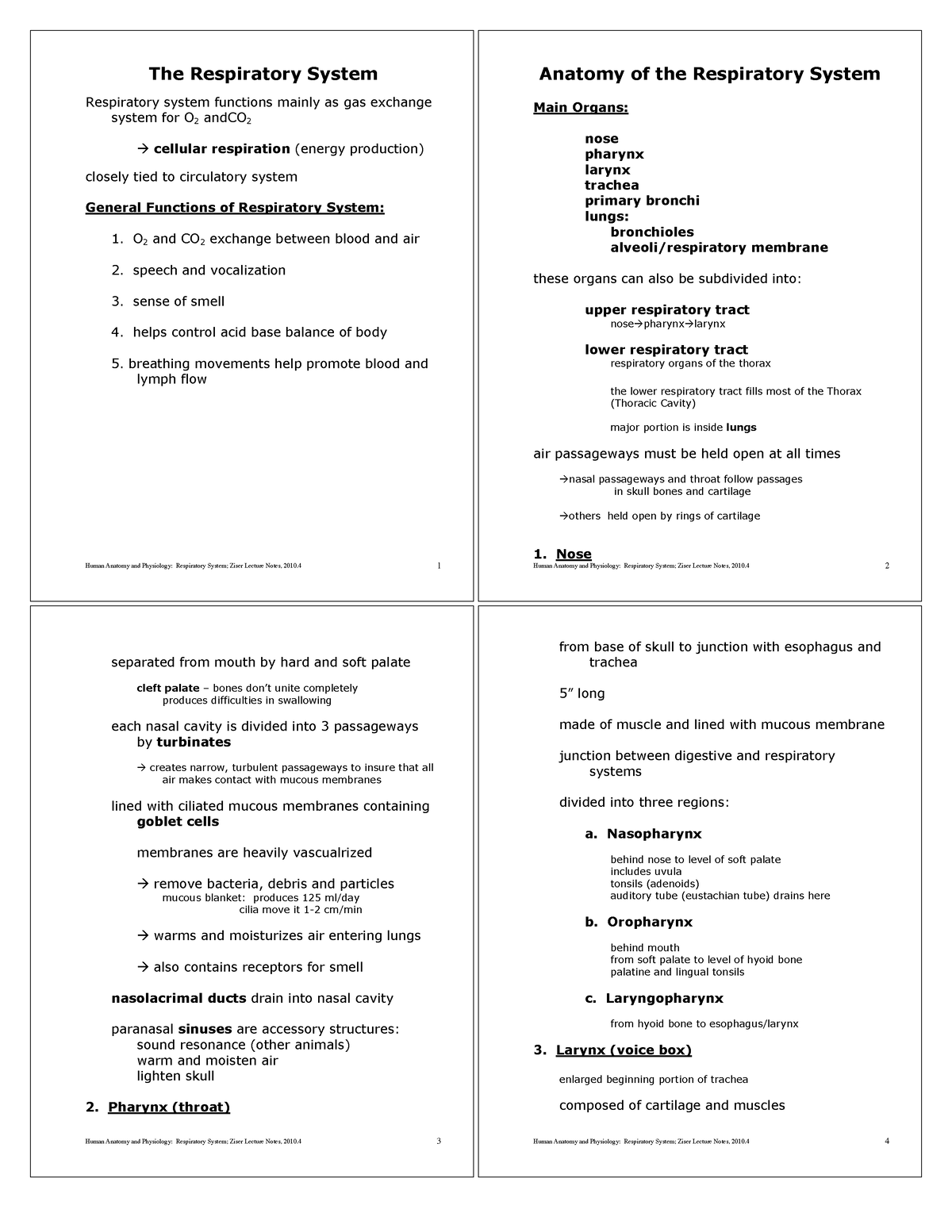 l-the-respiratory-system-human-anatomy-and-physiology-respiratory