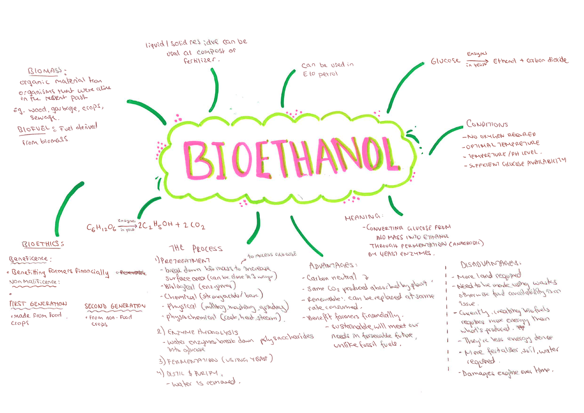 Bioethics on bioethanol 1 - Studocu
