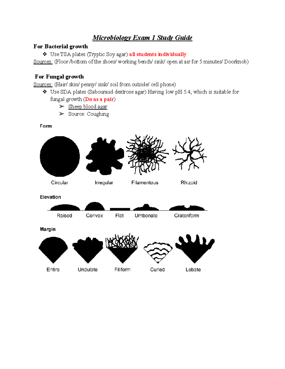 Microbiology Exam 1 Study Guide - Microbiology Exam 1 Study Guide For ...