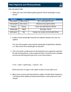 IB 1201 L08 Mitosis - Lab - Mitosis QUESTIONS 1. What are chromosomes ...