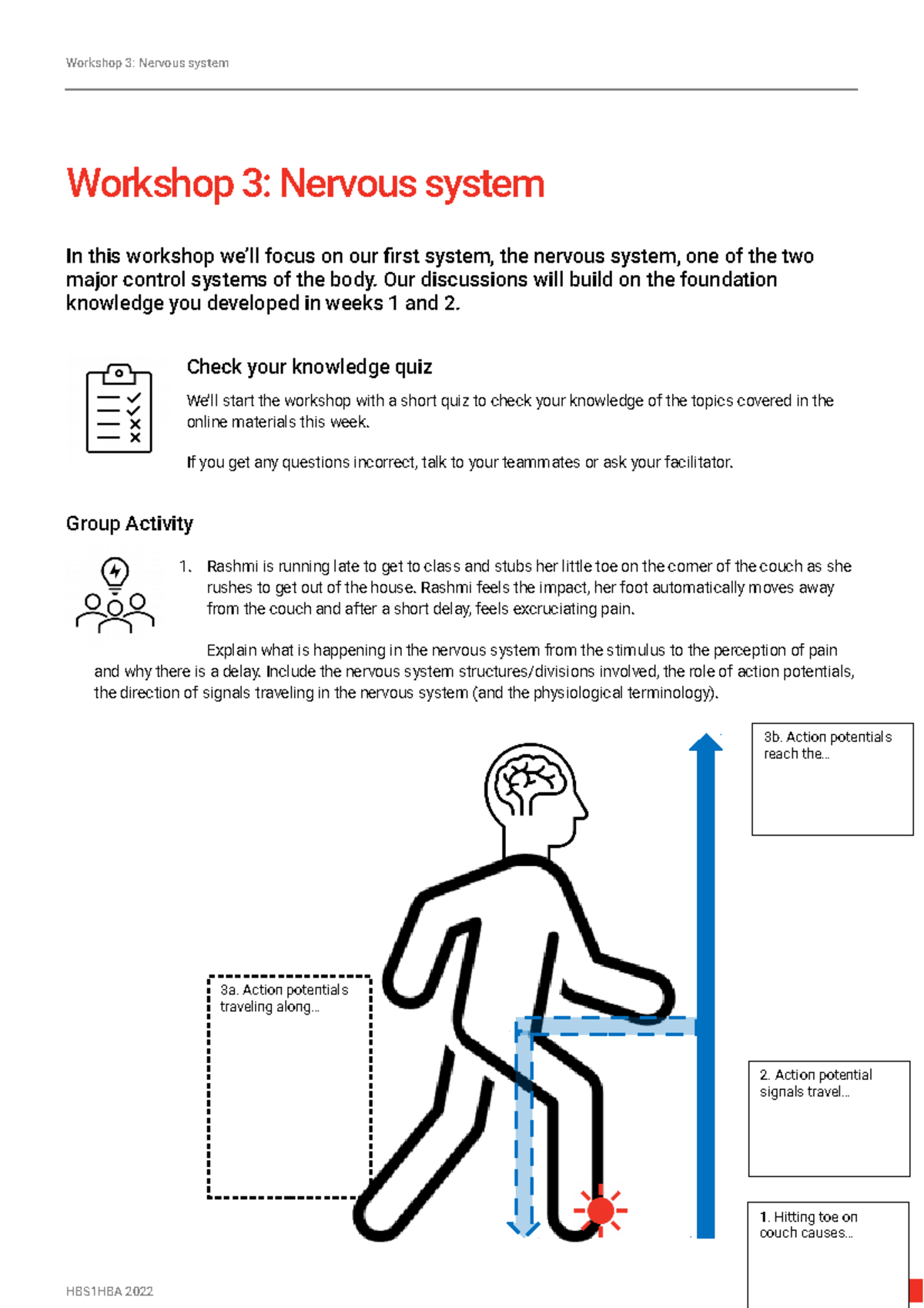 Workshop 03 HBS1HBA 2022 Student Notes - Workshop 3: Nervous System In ...