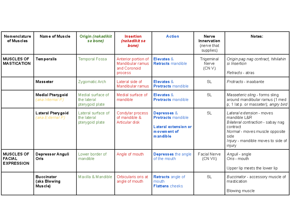 Muscular System Reviewer 2 - Nomenclature of Muscles Name of Muscle ...