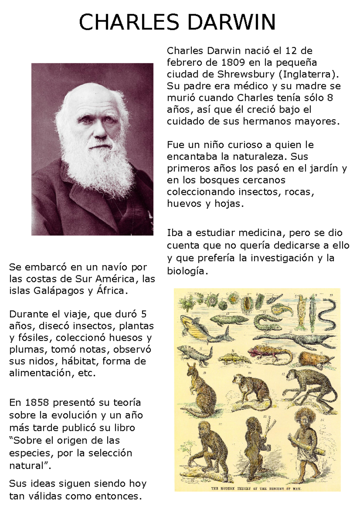 Charles darwin Su padre era médico y su madre se murió cuando Charles