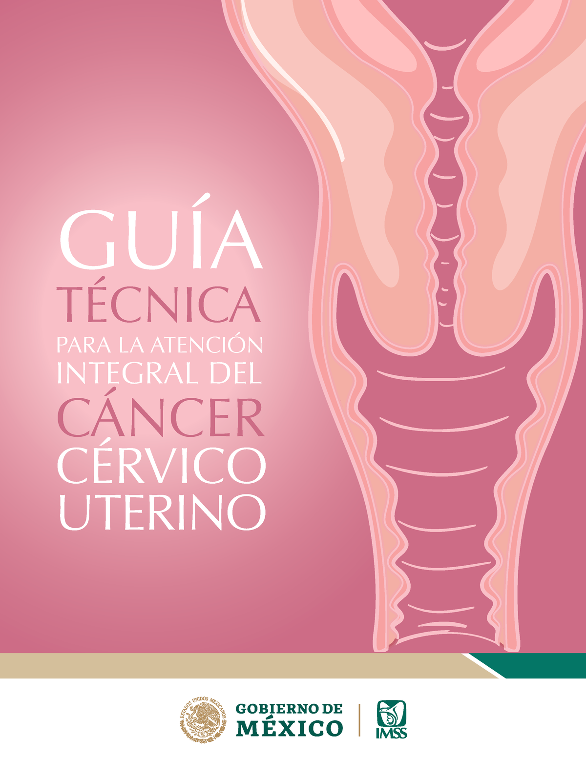 Guía Cacu 3 Final 230222 GuÍa TÉcnica Para La AtenciÓn Integral Del CÁncer CÉrvico Uterino El 4718