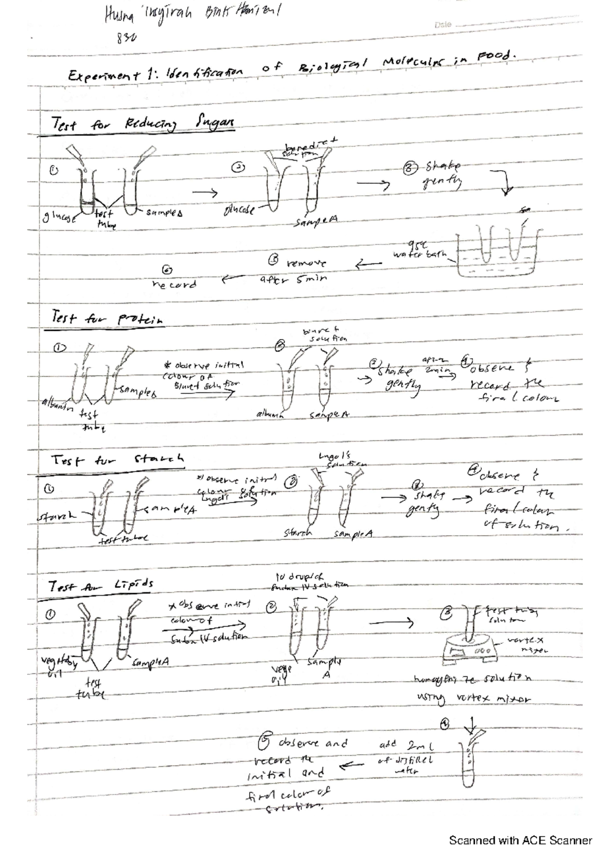 Jotter bio experiment 1 - Husna Irsirah Bink Hamienl Date 830 ...
