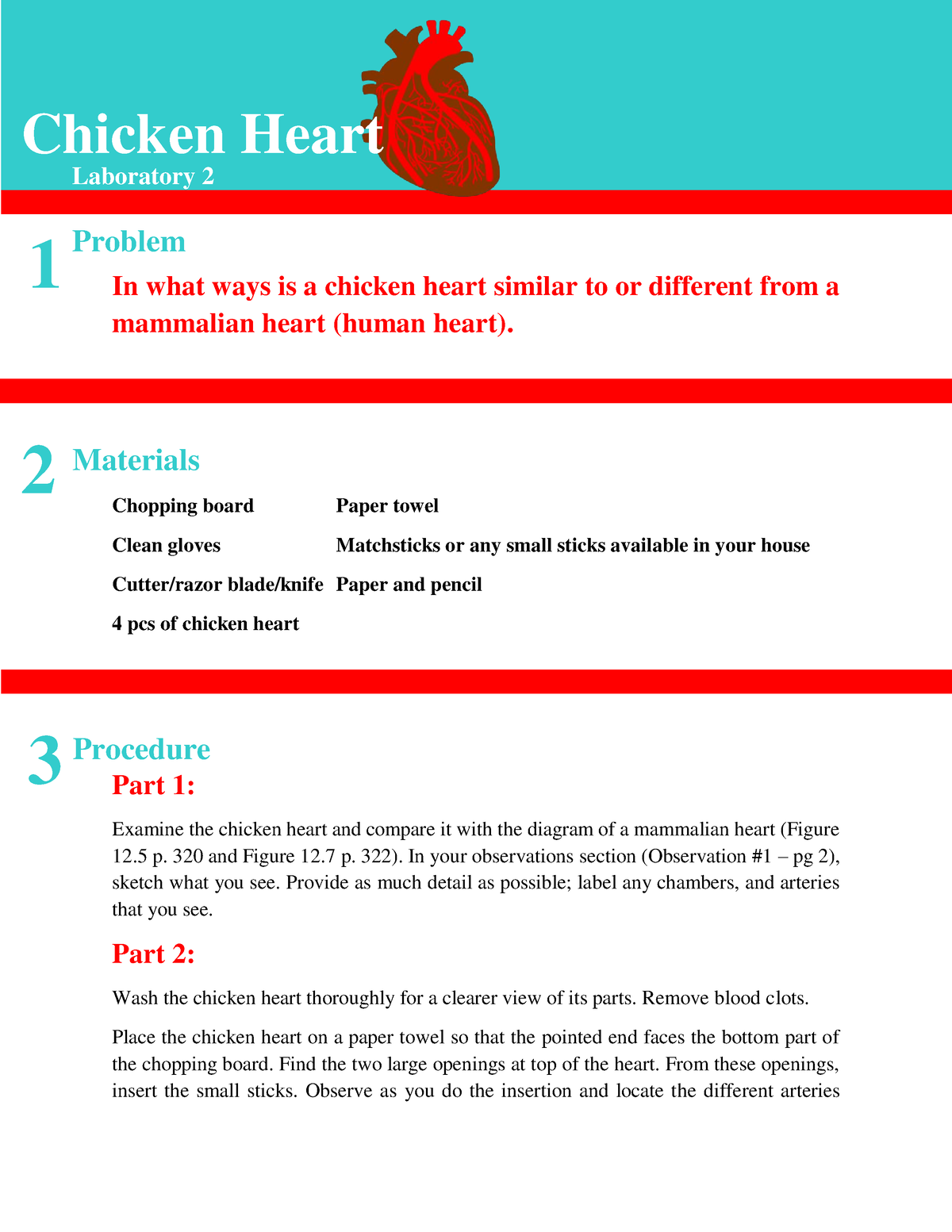 chicken-heart-laboratory-anatomy-and-physiology-in-what-ways-is-a