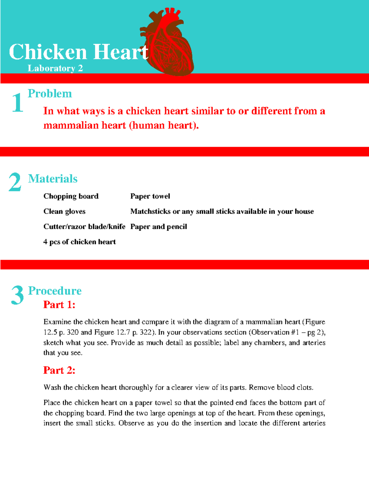 Chicken Heart Laboratory Anatomy And Physiology In What Ways Is A 