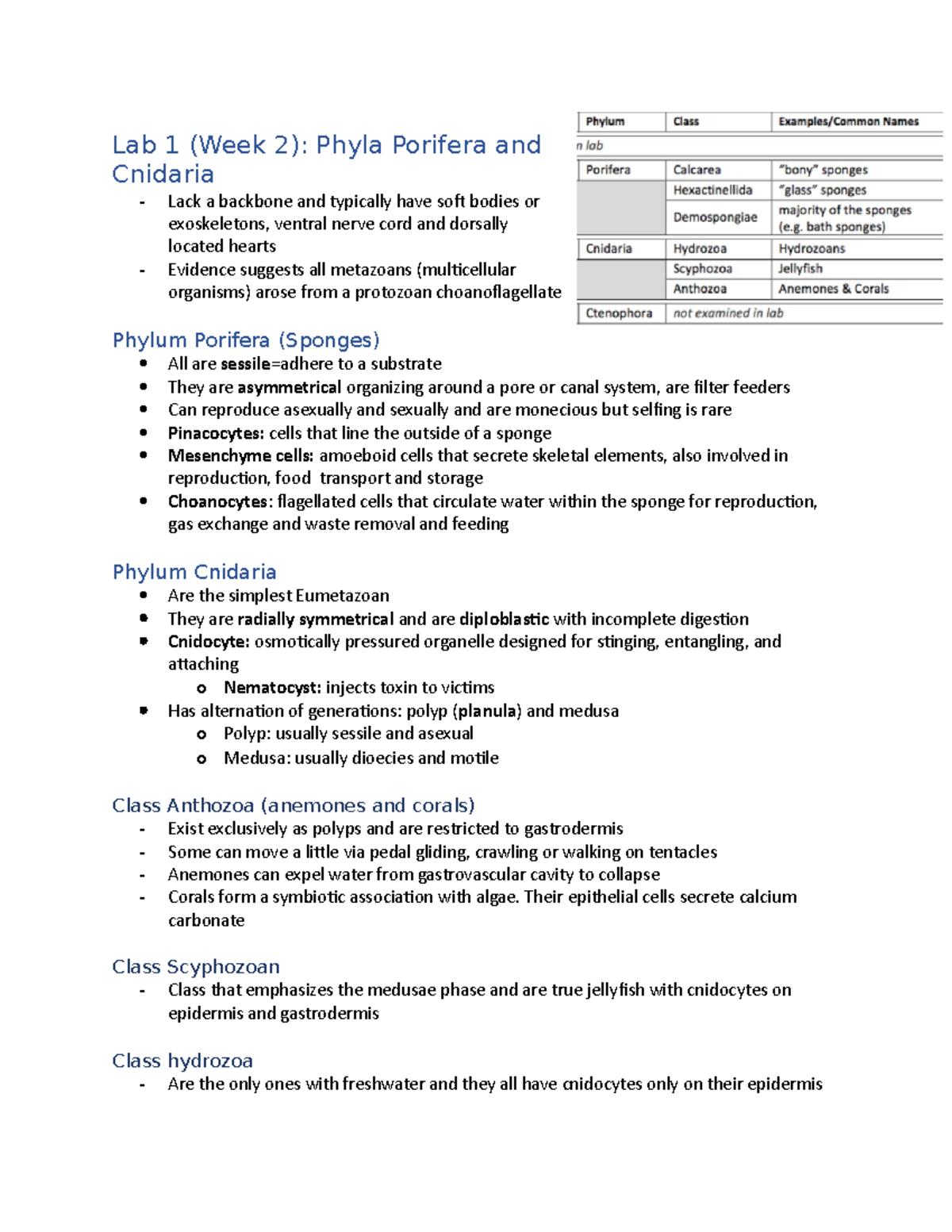 Lab 1-3: Phyla Porifera Cnidaria Worms and Mollusca - Studocu