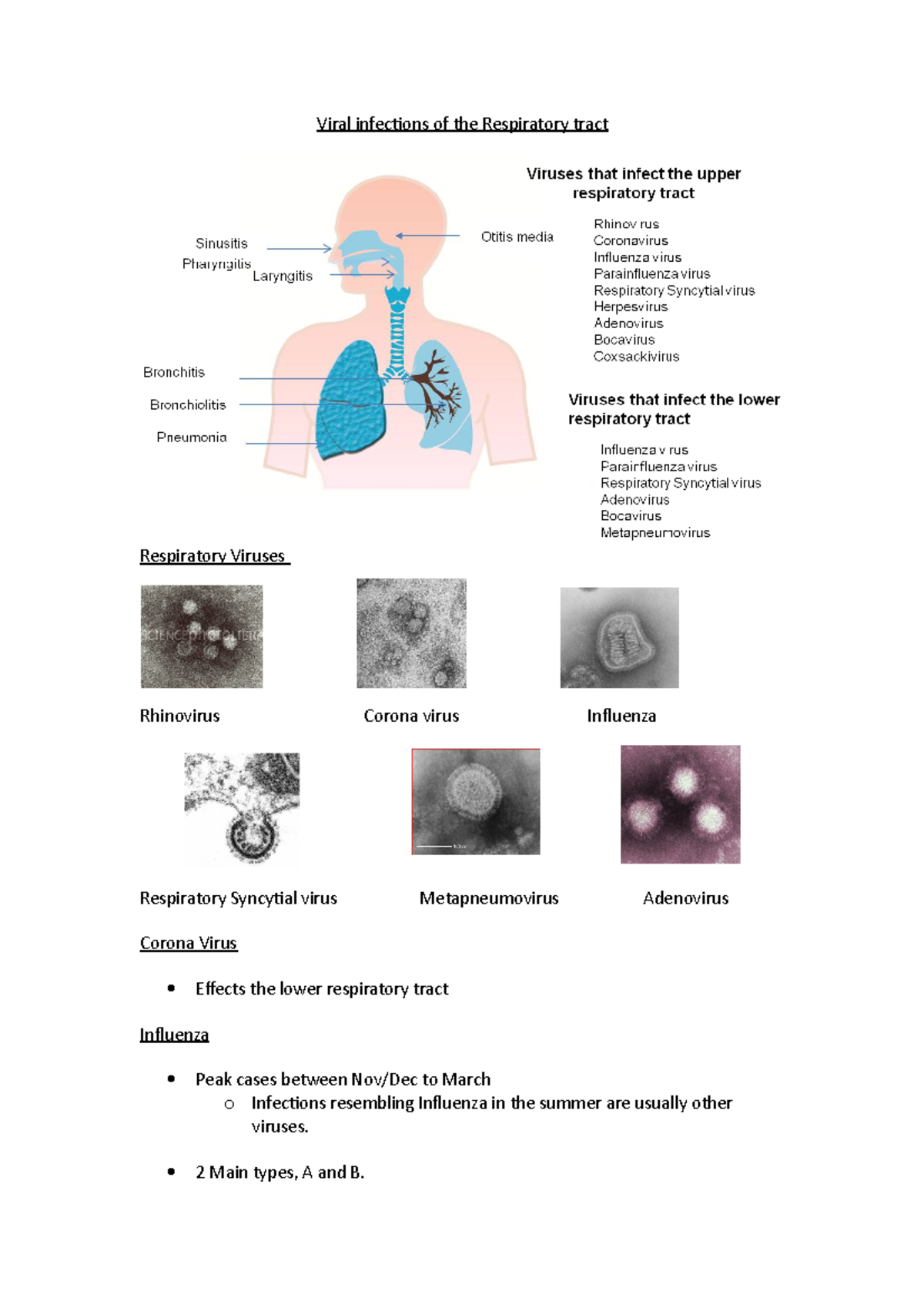Viral infections of the Respiratory tract - Viral infecions of the ...