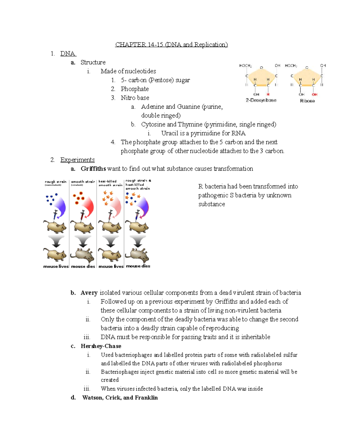 Chapter 14-15 (DNA and Replication) - CHAPTER 14-15 (DNA and ...