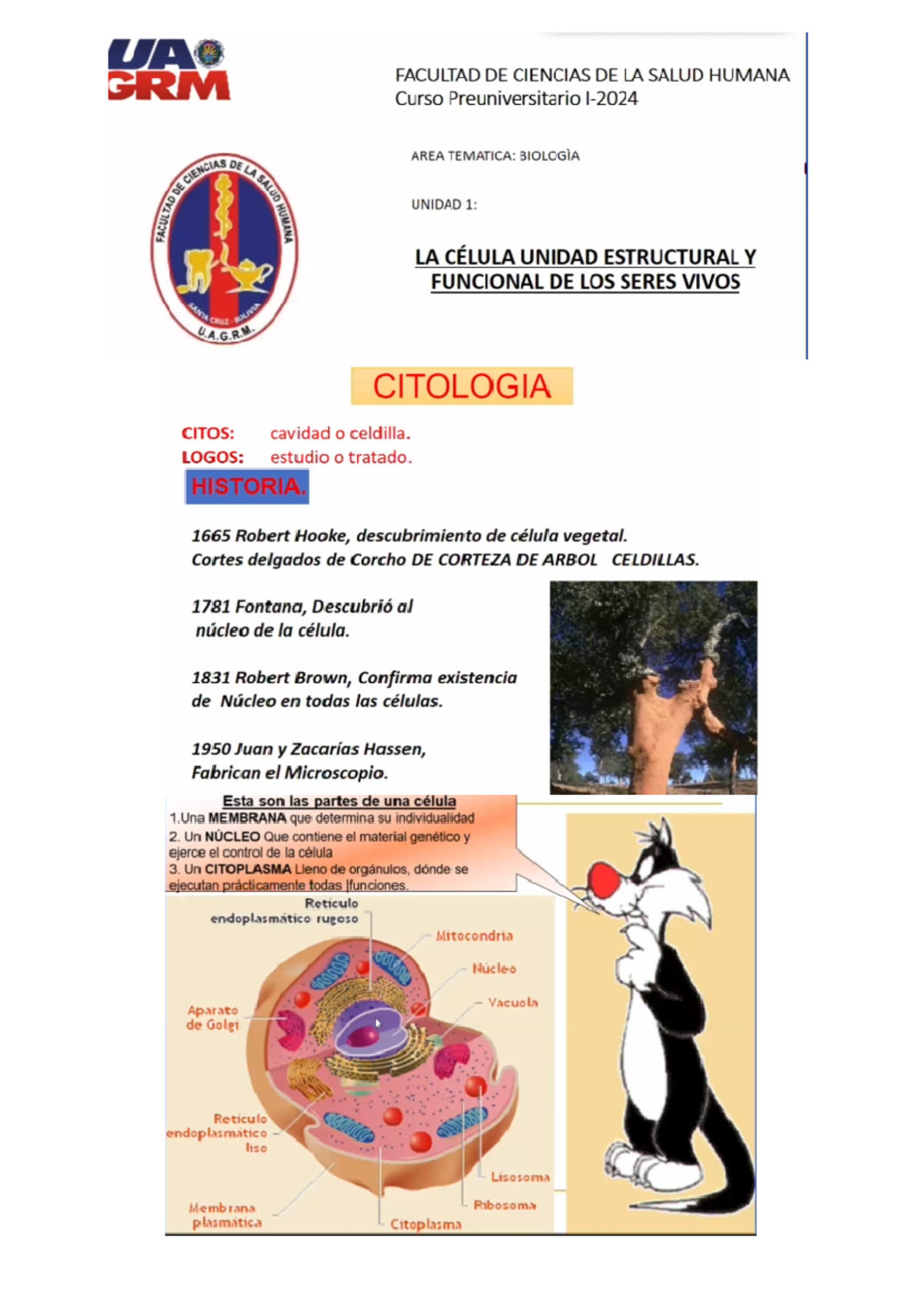 Bio clase 2 - Diapositivas - Biologia (colegio) - Studocu