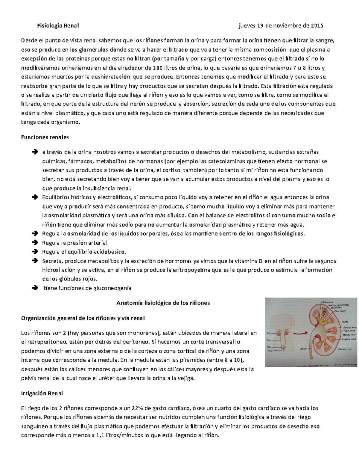 Capilares los peritubulares español ¿qué hacen