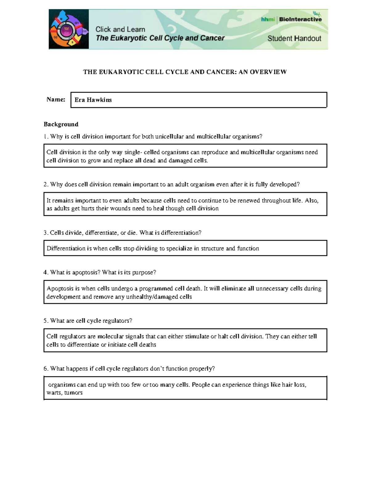 Copy of Eukaryotic CELL Cycle AND Cancer - THE EUKARYOTIC CELL CYCLE ...