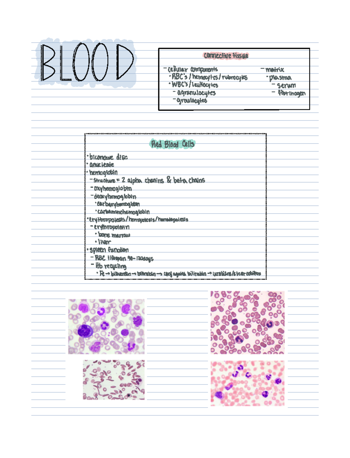 Blood Overview SG - connectivetissue cellularcomponents aBBC ...