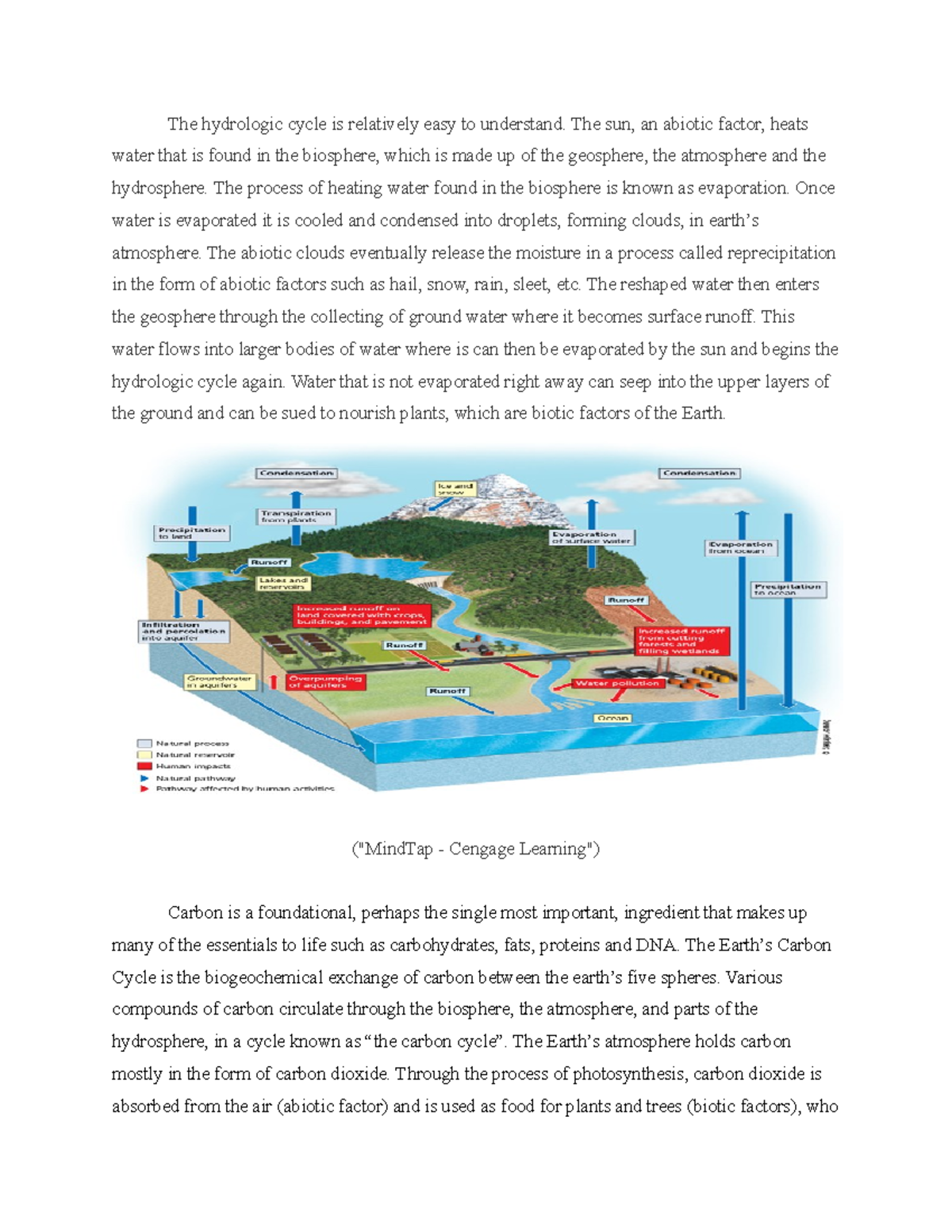 Understanding the Hydrologic Carbon and Nitrogen Cycles - Studocu