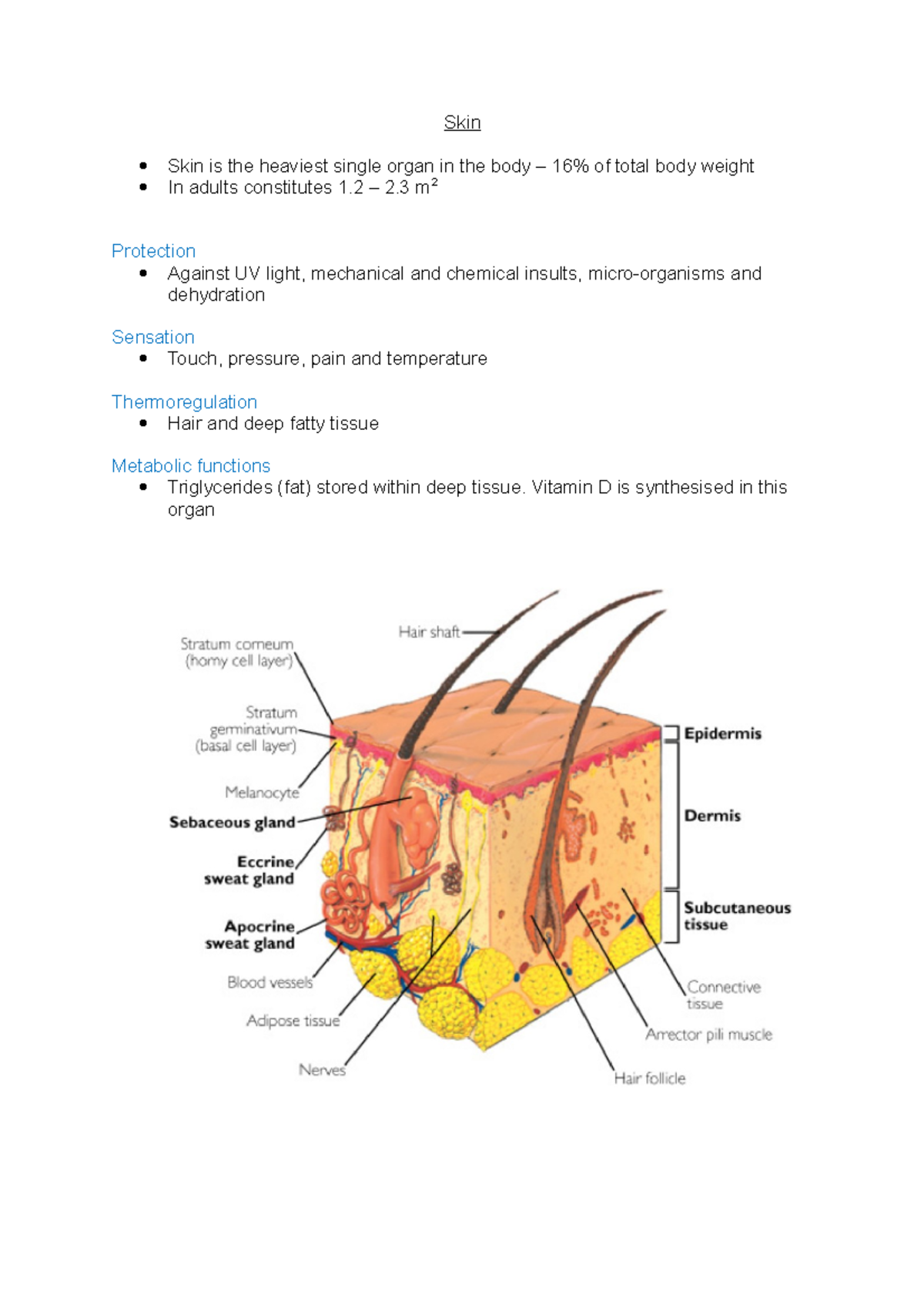 Skin - Lecture notes 16 - Skin Skin is the heaviest single organ in the ...