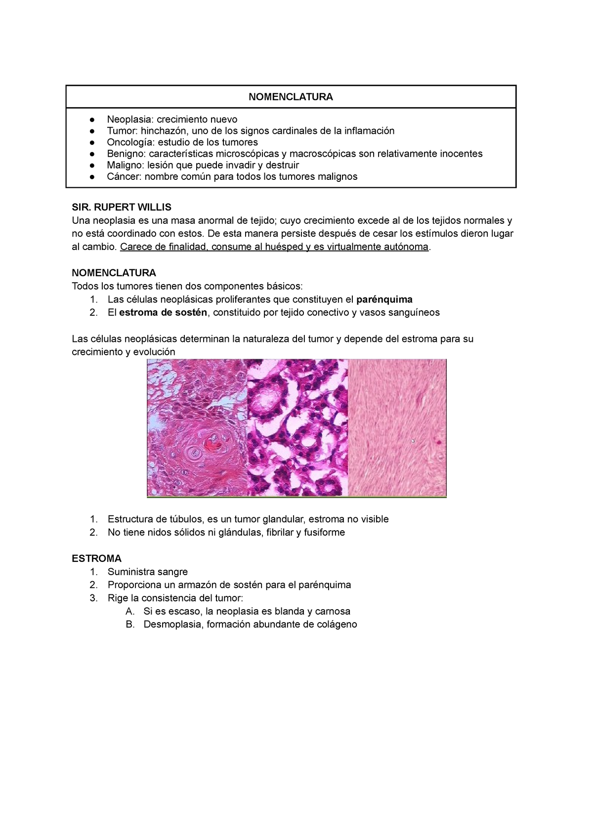 Definici N Y Nomenclatura De Las Neoplasias Y Tipos De Tumores Benignos Con Ejemplos