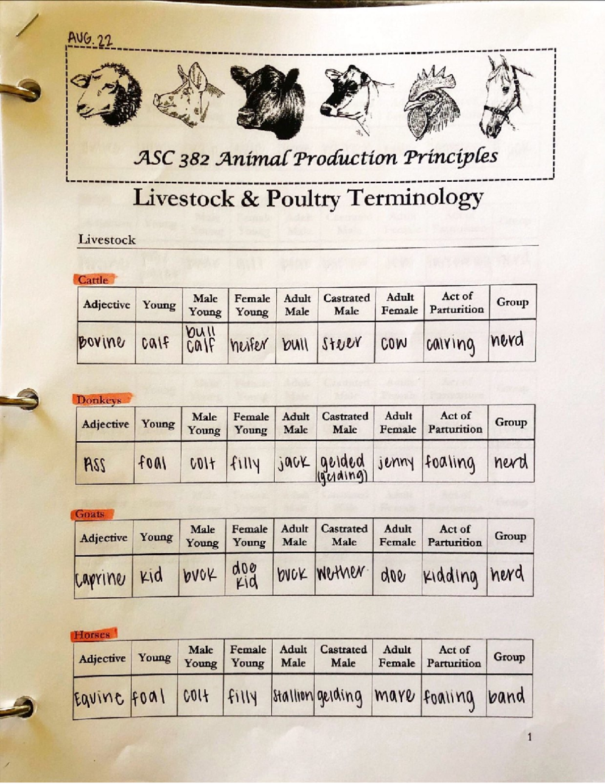 Livestock and Poultry Terminology - ASC382 - UKY - Studocu