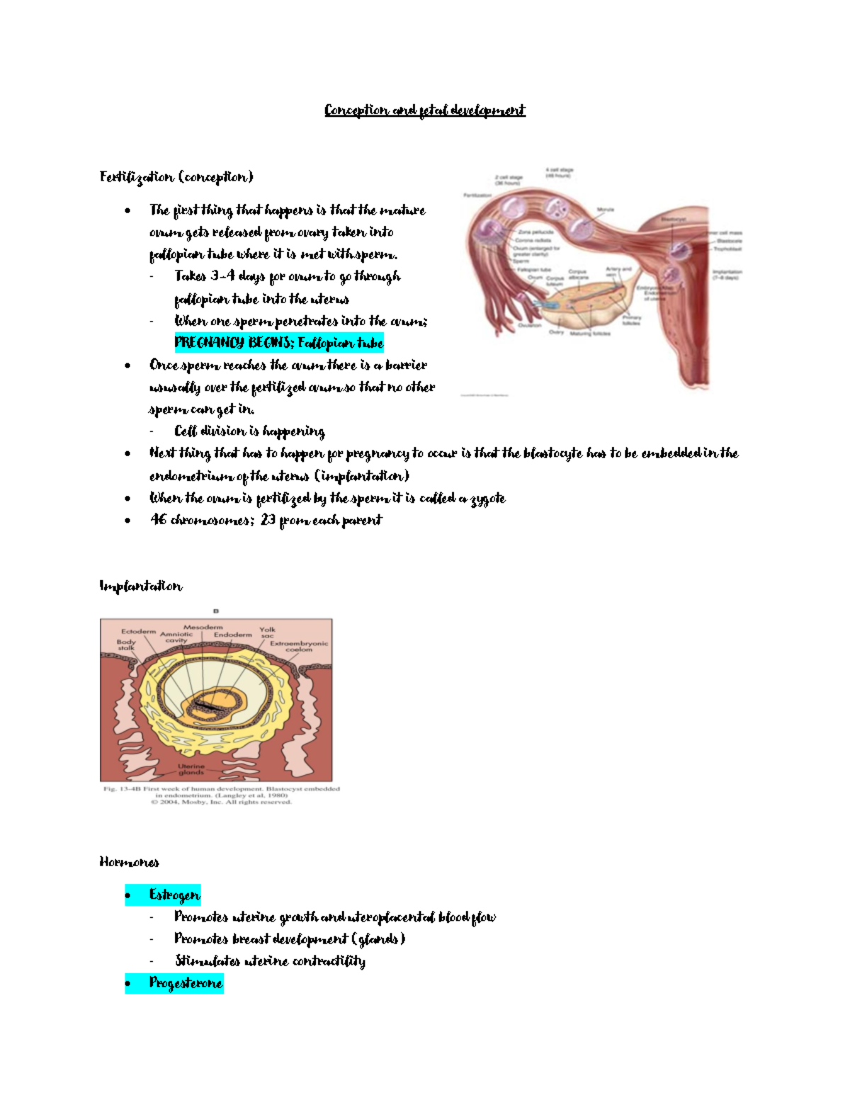 Conception and fetal development week 1 OB - Conception and fetal ...