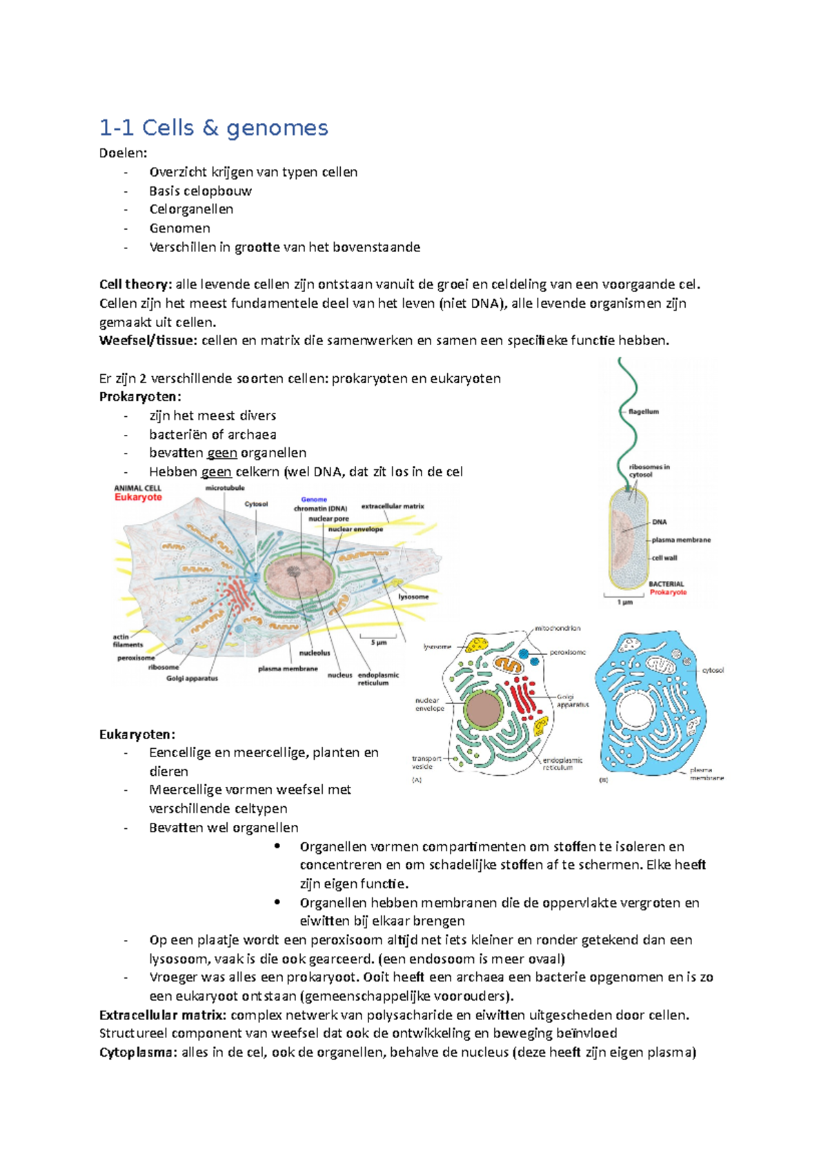 Samenvatting Inleiding Biomedische Wetenschappen - 1-1 Cells & Genomes ...