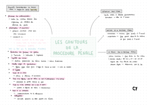 DPG - SCHÉMA DPG L2 - Application de la loi pénale Application de la ...