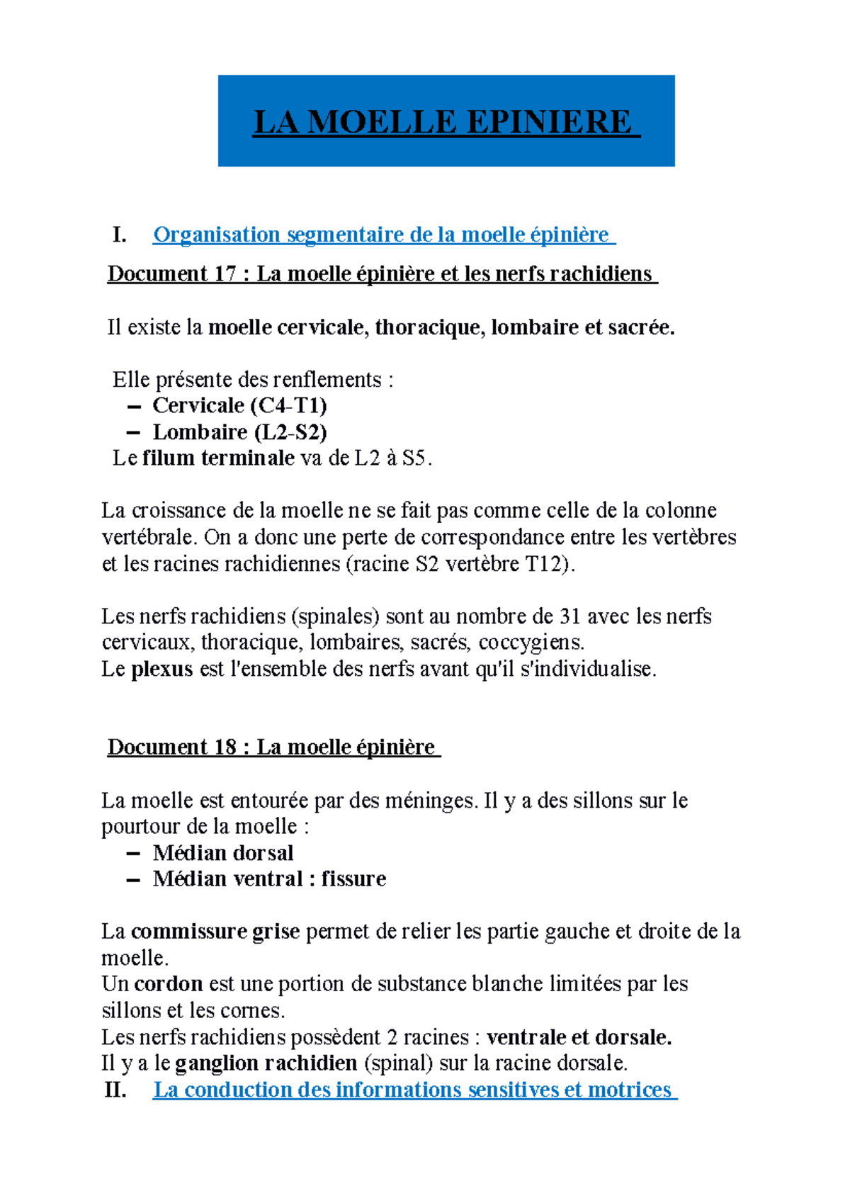 Neurobiologie - Partie 4 - La Moelle épinière - I. Organisation ...