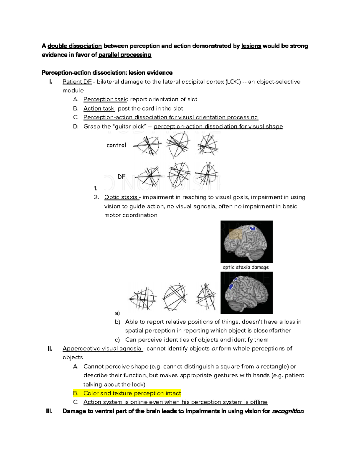 Dosal & Ventral Streams - A double dissociation between perception and ...