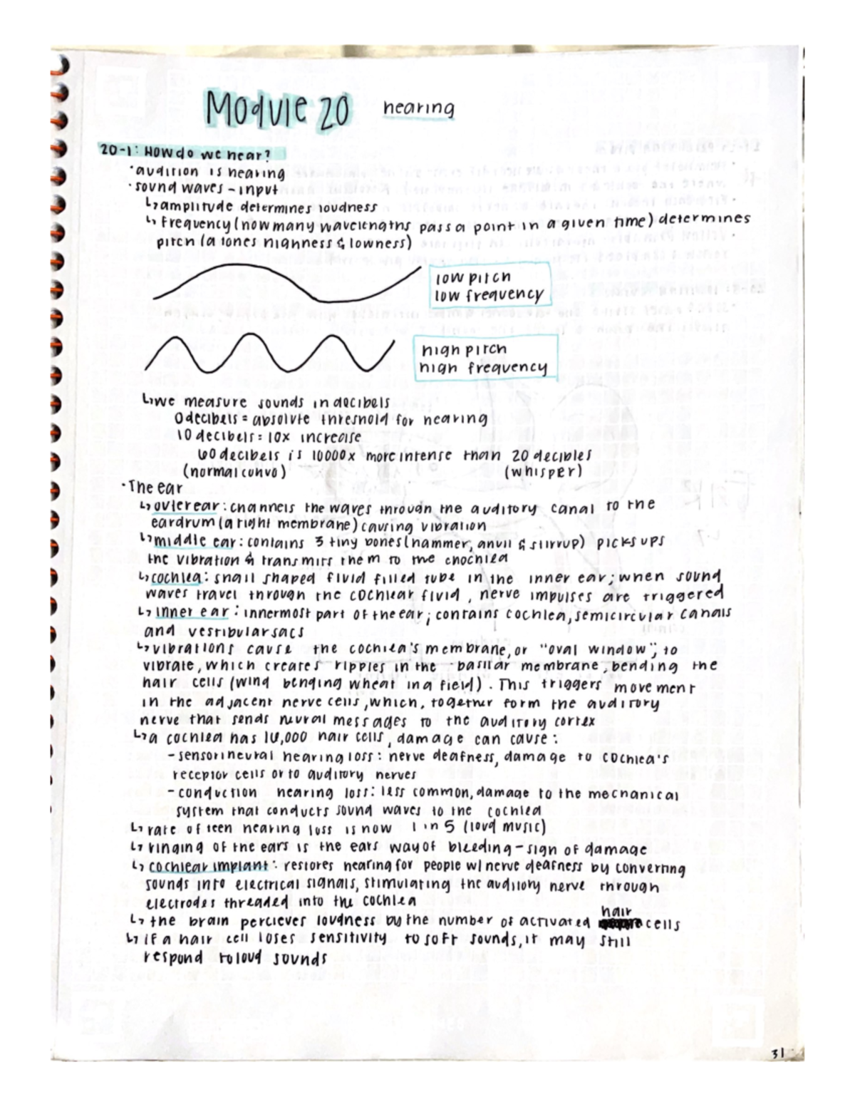 ap-psychology-module-20-hearing-studocu