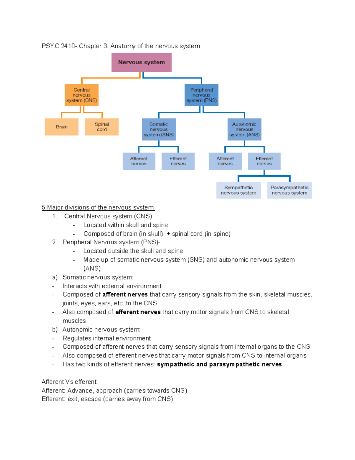 PSYC 2410- Chapter 3 Anatomy Of The Nervous System - Central Nervous ...