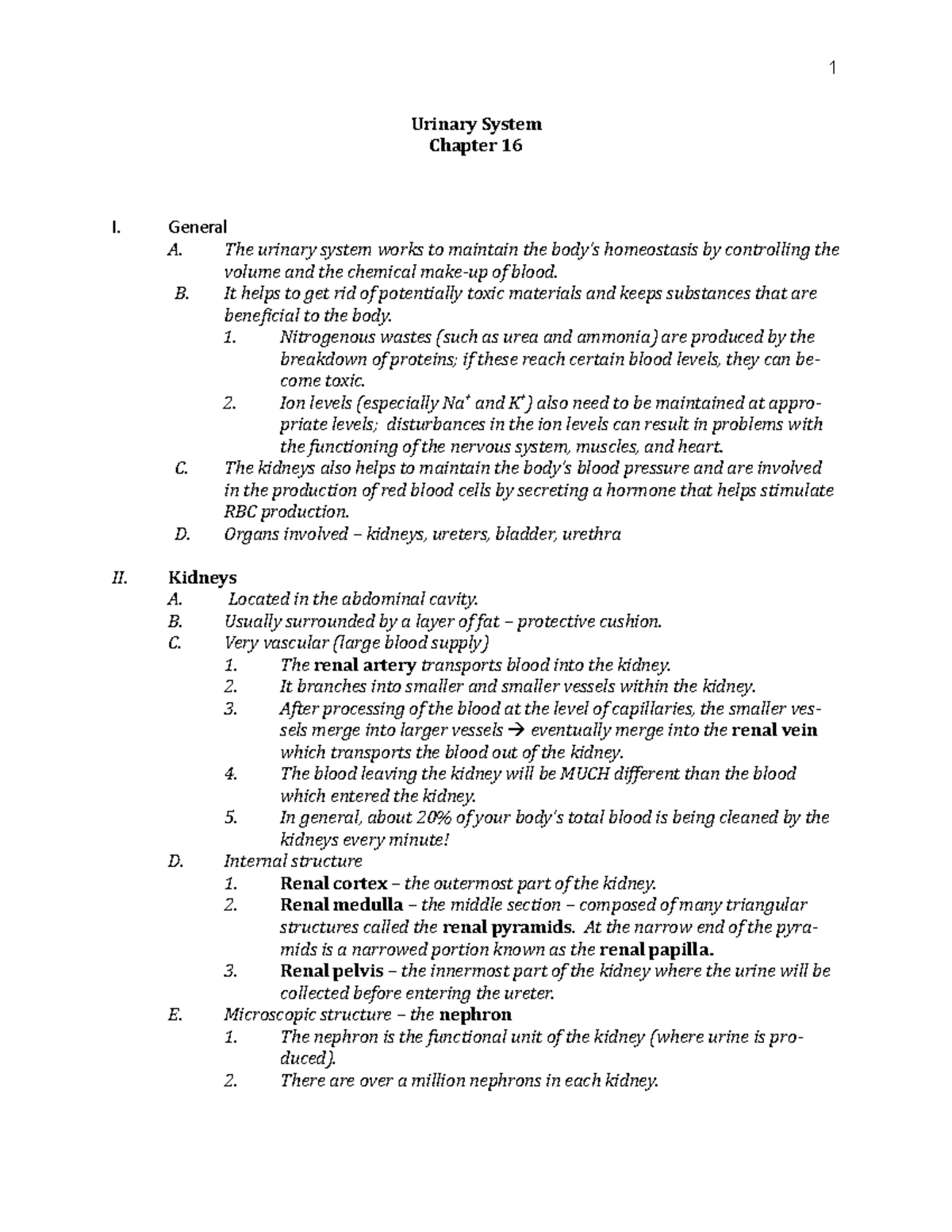 BIO101 Chapter 16 Urinary System - BIO 101 - Stark State - Studocu