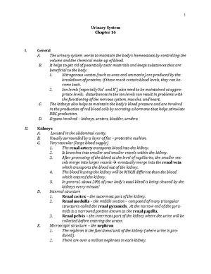 Chapter 17 Reproductive System Notes - Reproductive System Chapter 17 I ...