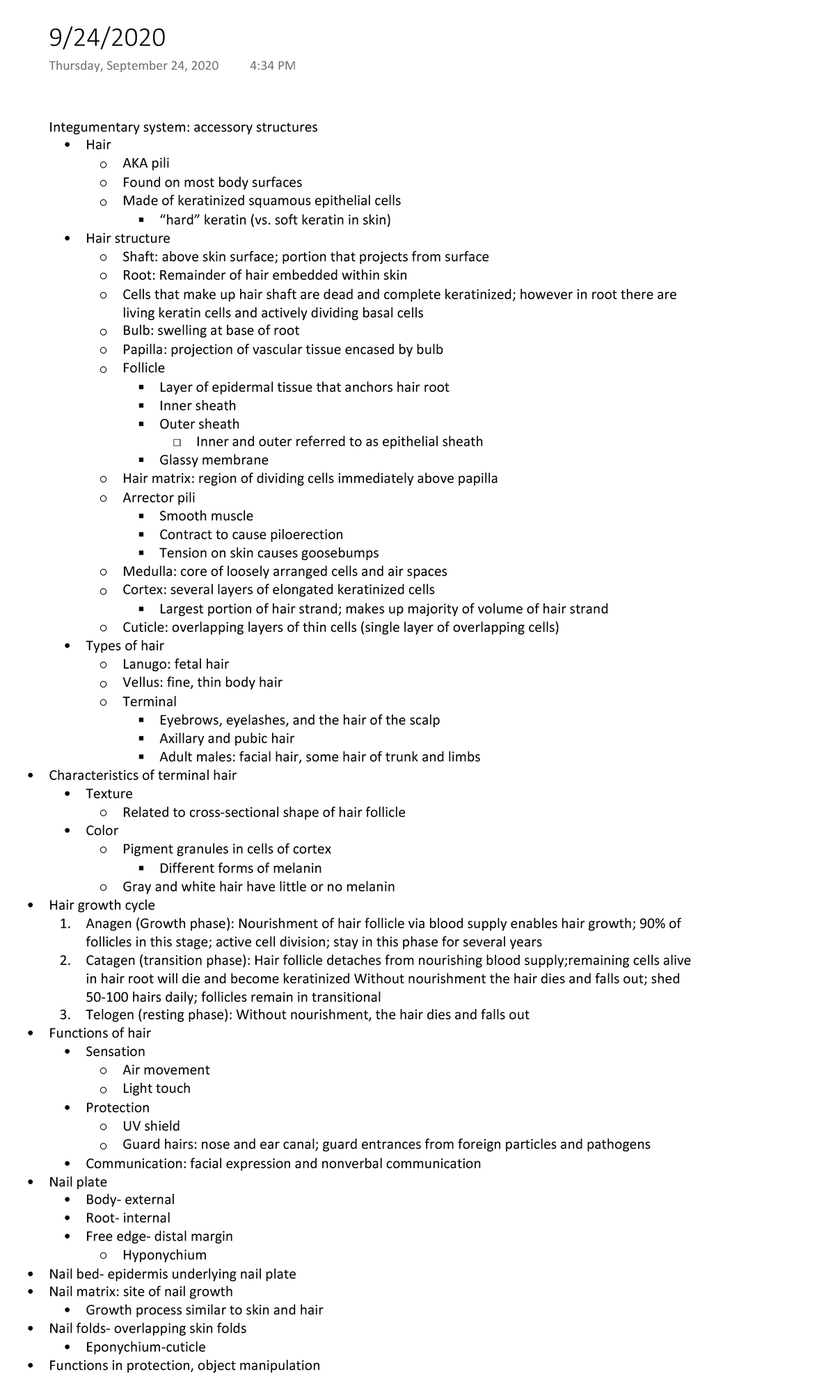 A&P Integumentary system accessory structures - Integumentary system ...