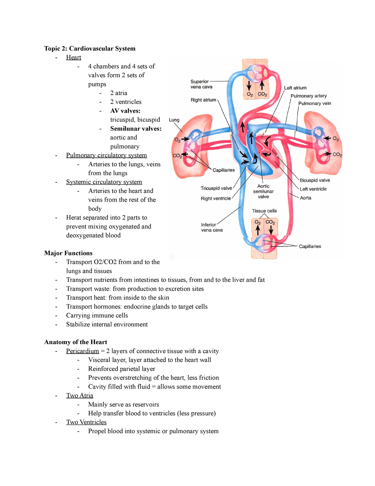 foundations-of-psychology-neuroscience-and-beahviour-notes