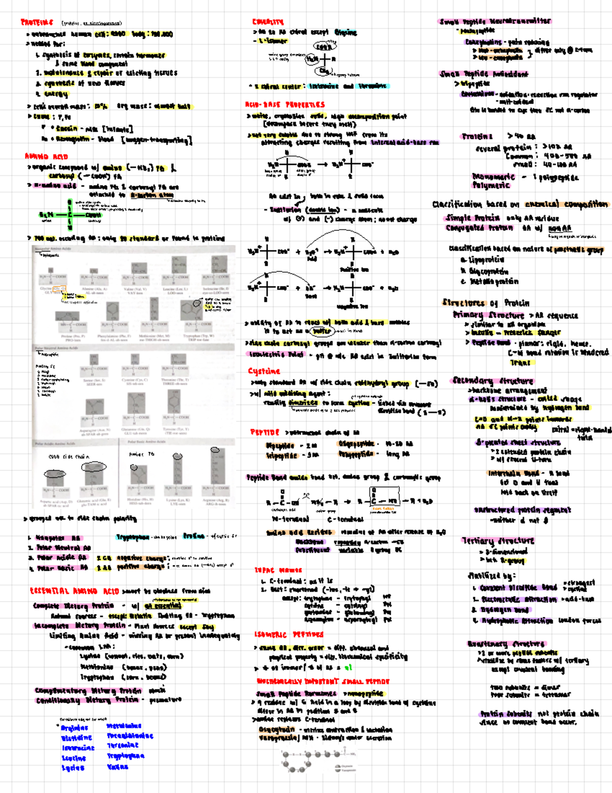 Chapter 3 Proteins - Bachelor of Science in Nursing - Studocu