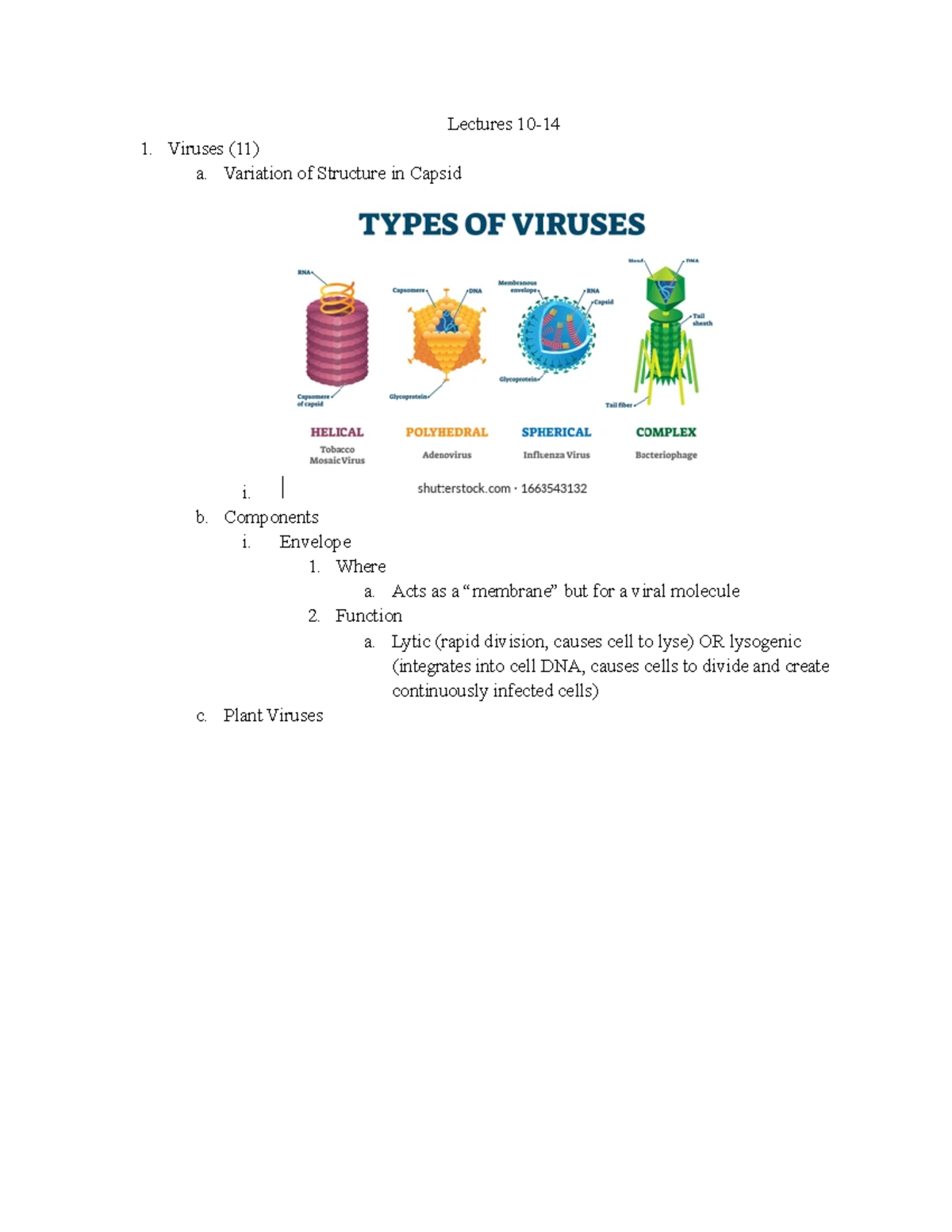 Lecture Exam 3 Study Guide - Lectures 10- Viruses (11) A. Variation Of ...