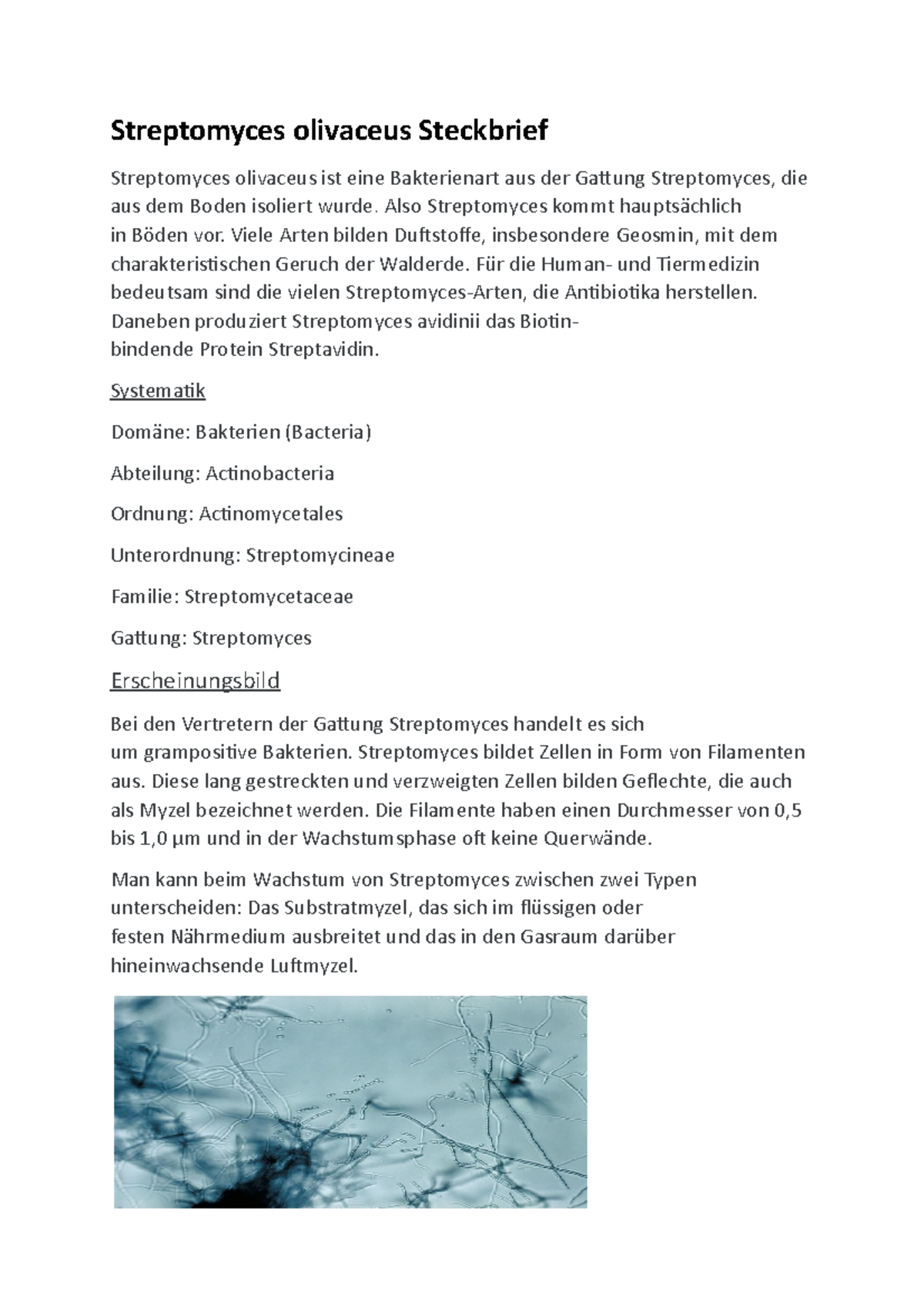 Streptomyces olivaceus Steckbrief Streptomyces olivaceus Steckbrief