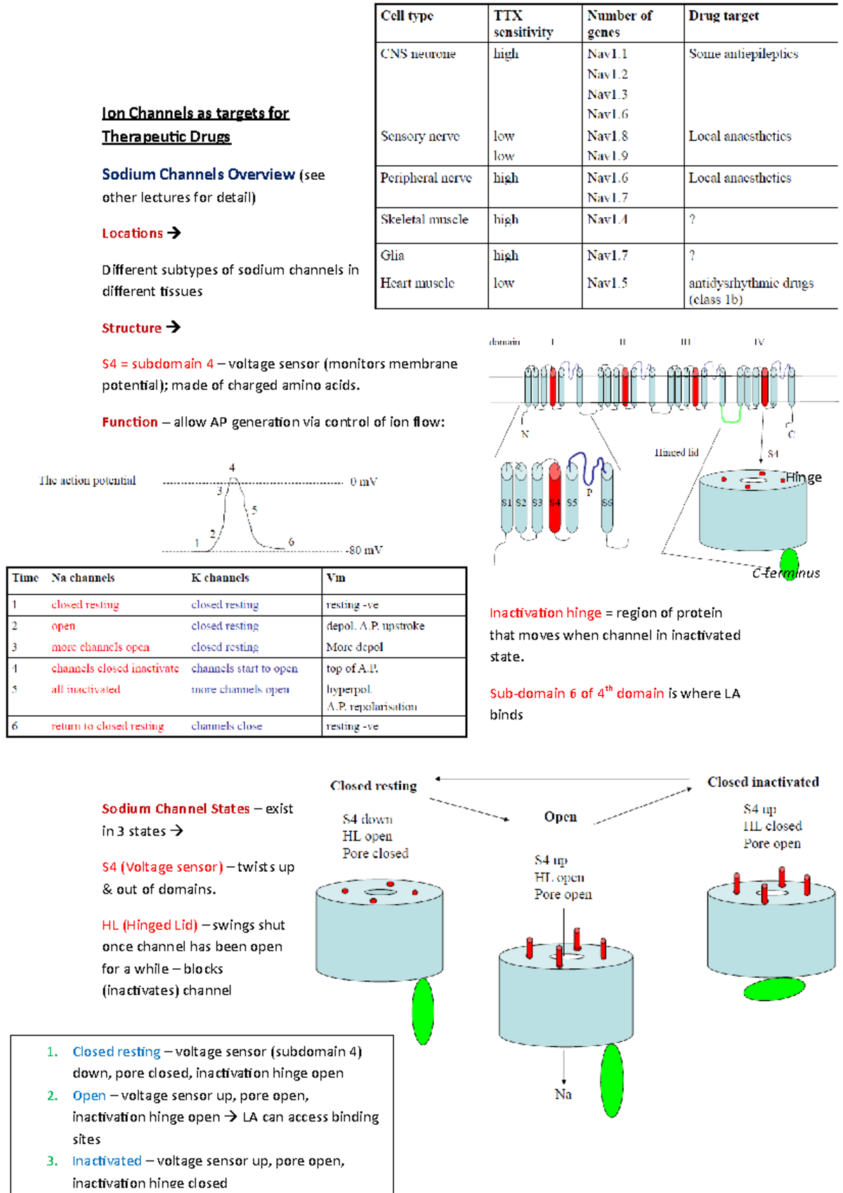 Ion Channels as targets for Therapeutic Drugs - Ion Channels as targets ...