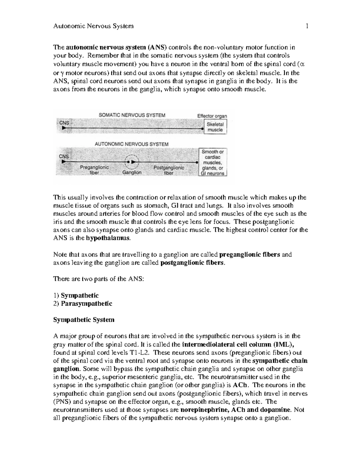 01Autonomic Nervous System - The autonomic nervous system (ANS ...