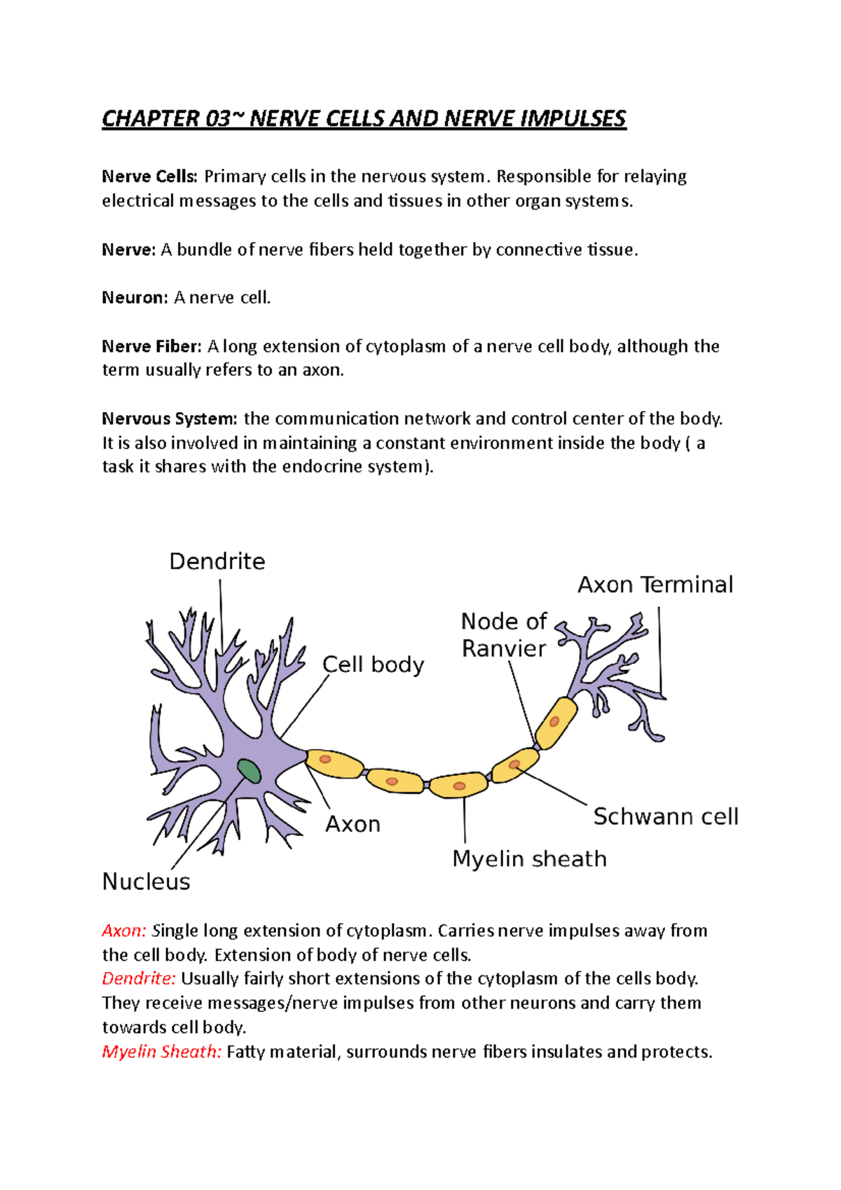 CH 03 - Nerve Cells AND Impulses - CHAPTER 03~ NERVE CELLS AND NERVE ...