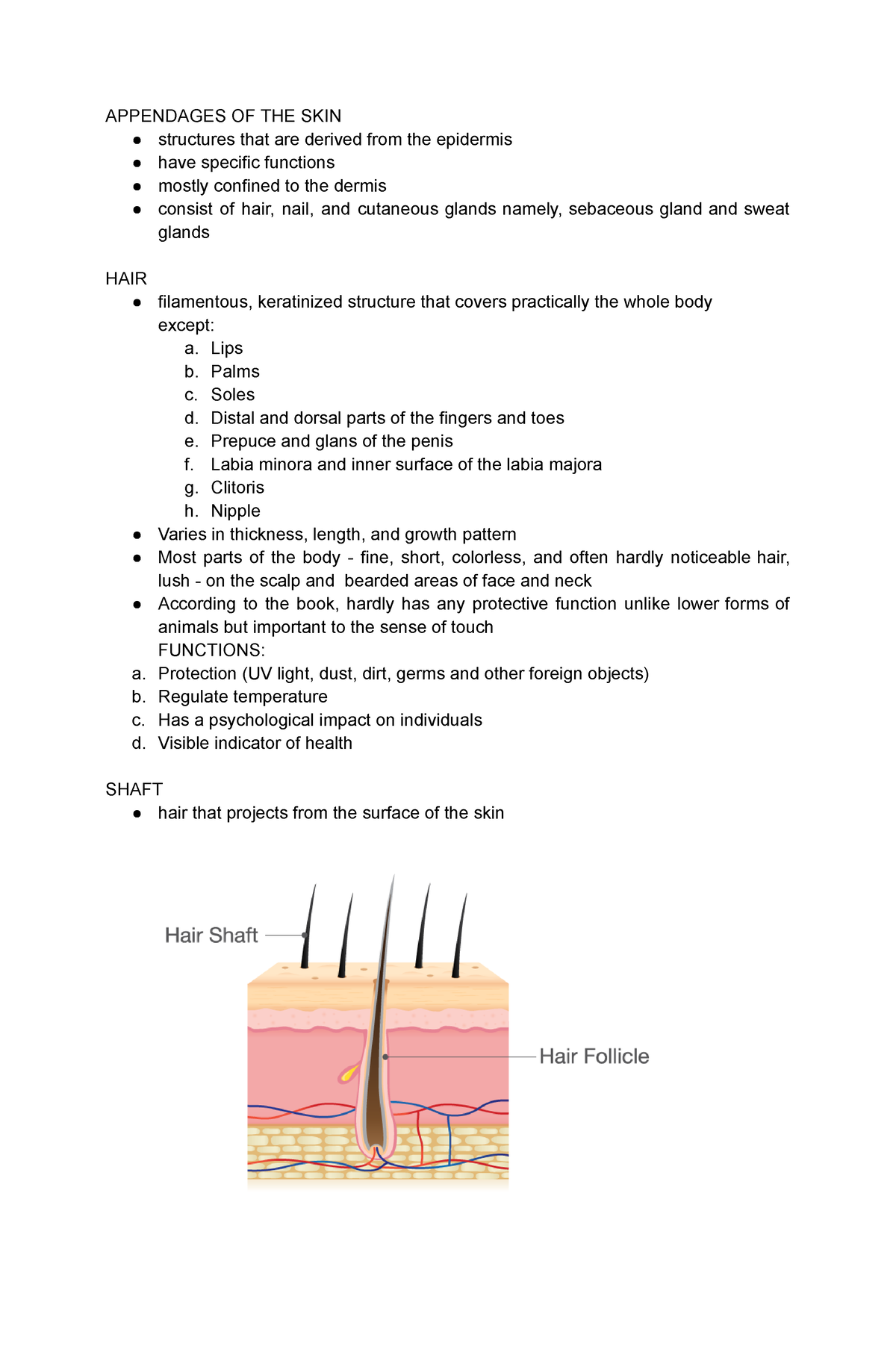 Appendages OF THE SKIN - APPENDAGES OF THE SKIN structures that are