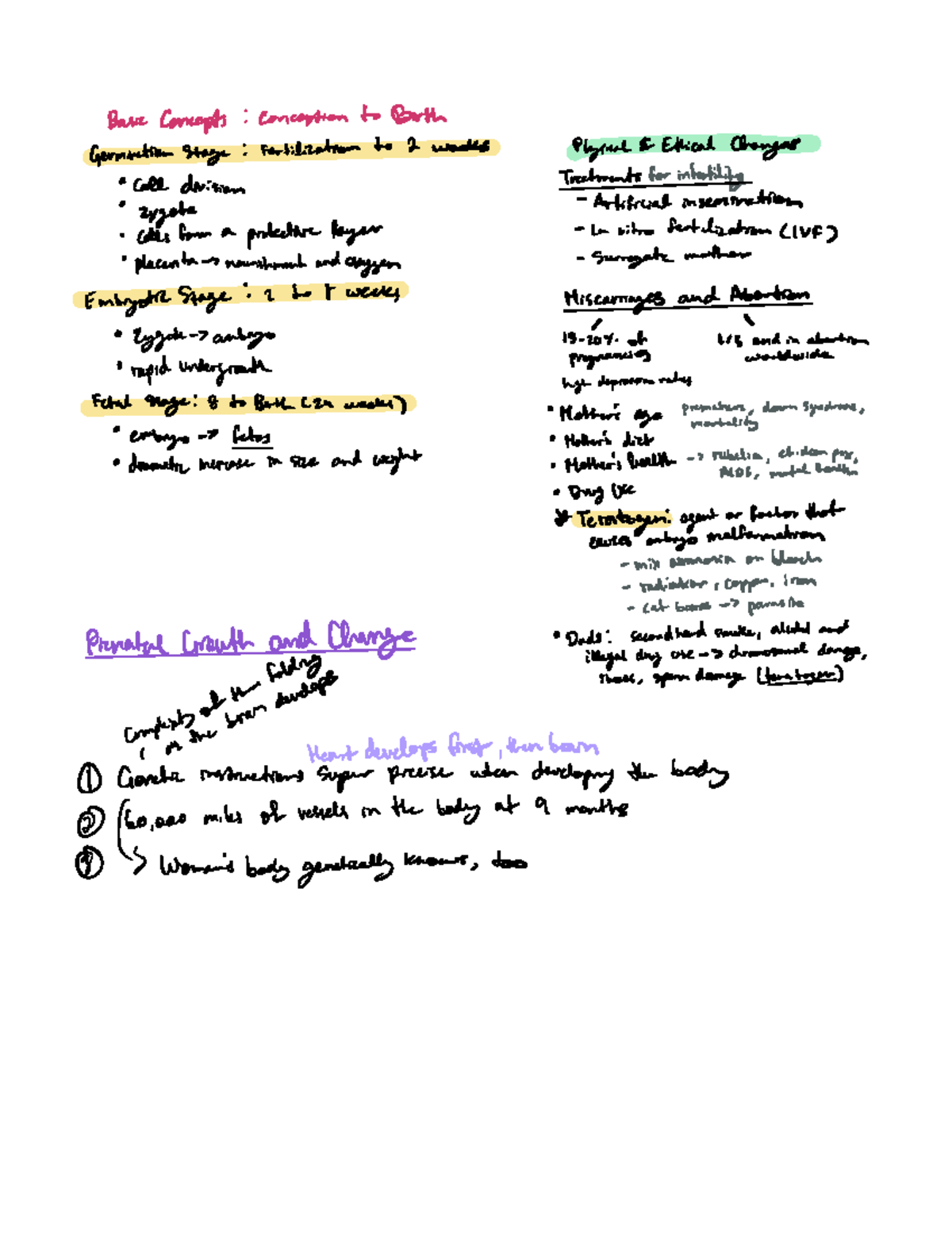 Developmental Biology - Bare Concepts conception to Both Germination ...
