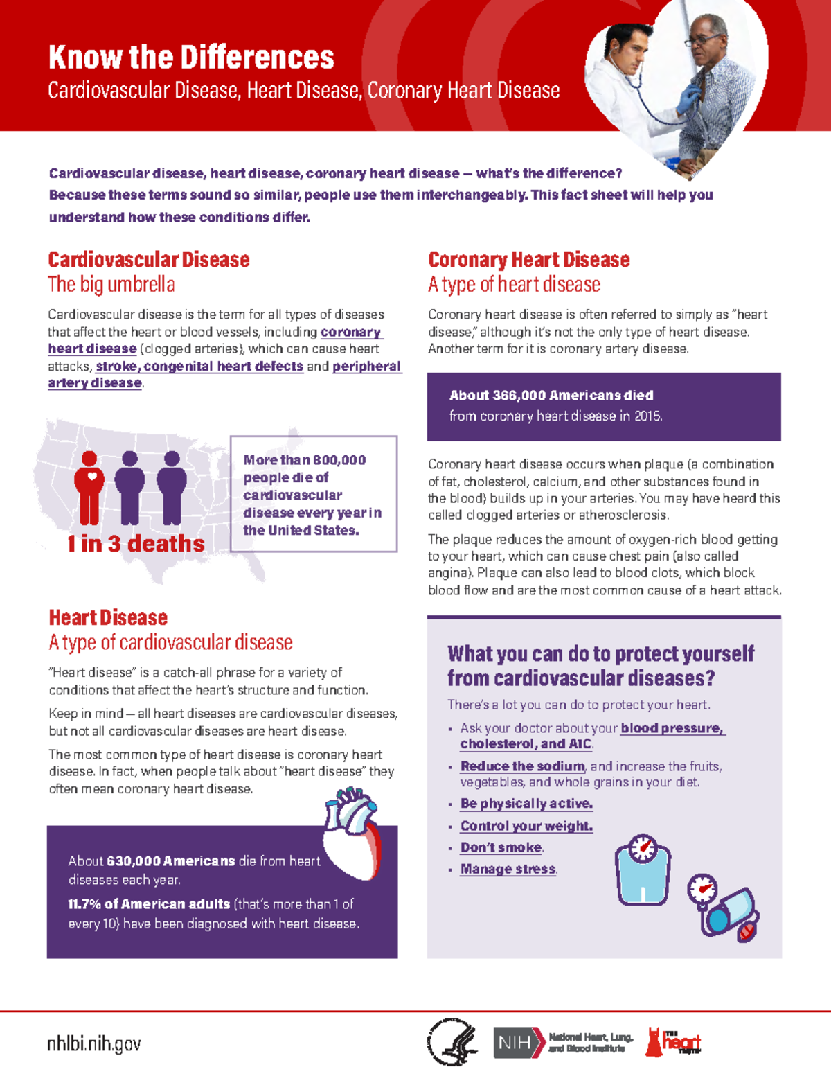 Cardiovascular - Details about Cardiology disease - Know the ...